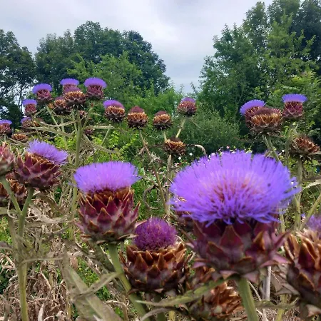Les Jardins Imaginaires Penzion 3*